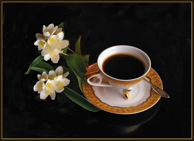 Coffee Cup with Jasmine Flowers