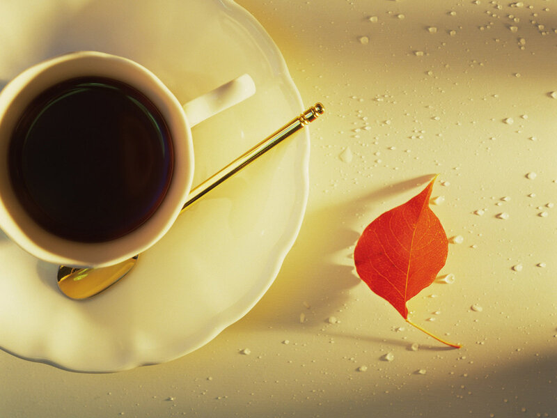 Coffee Cup with Leaf — White, Calm