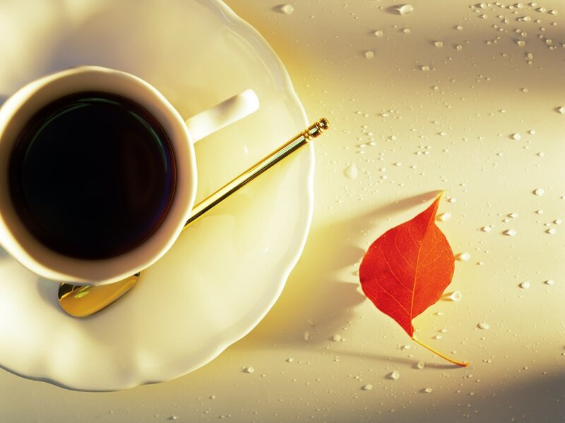 Coffee Cup with Leaf — White, Serene, Autumn