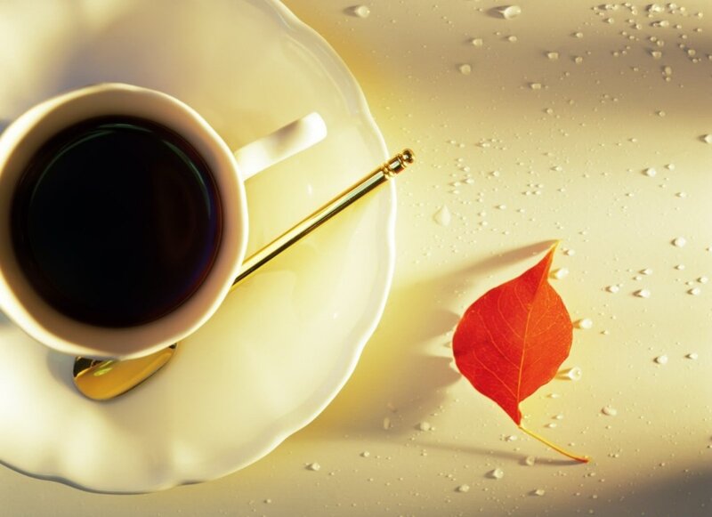 Coffee Cup with Leaf — White, Serene