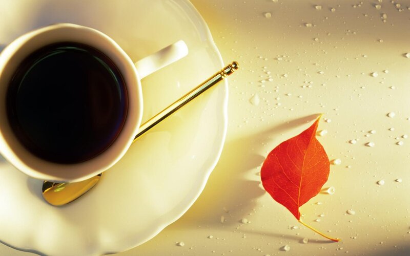 Coffee Cup with Red Leaf — White, Serene, Autumn, Photograph