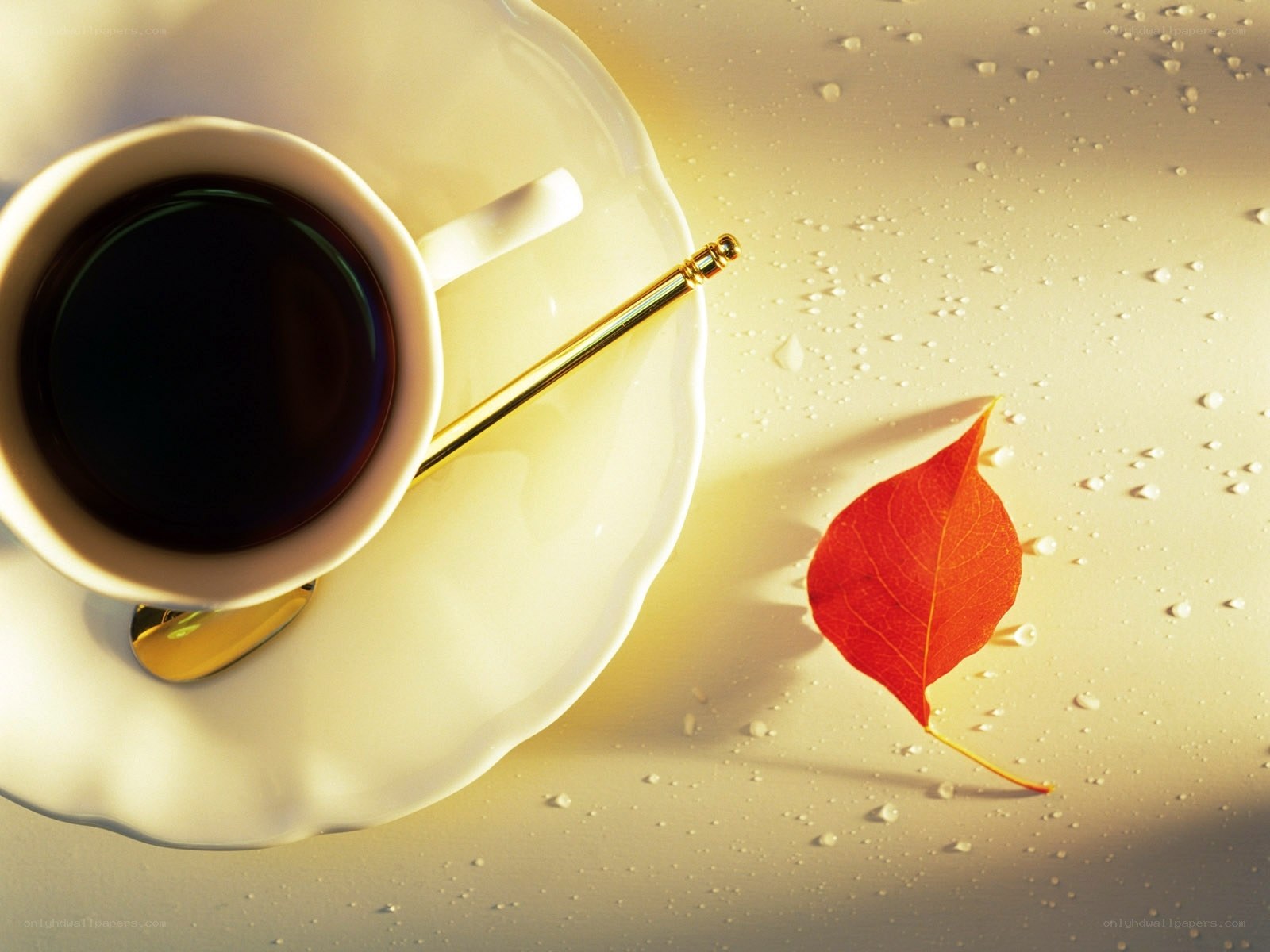 coffee cup with red leaf