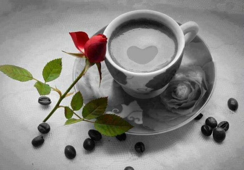 Coffee Cup with Rose — Black, Serene, Photograph