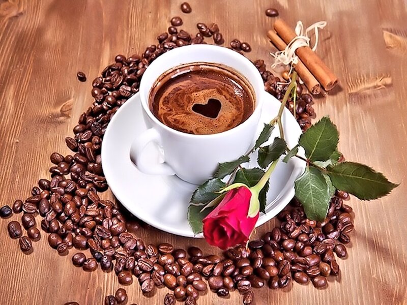 Coffee Cup with Rose — Brown, Calm, Photograph, Coffee Beans, Cinnamon Sticks