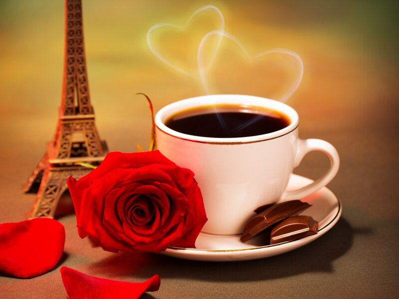 Coffee Cup with Rose — Red, Romantic, Morning, Photograph