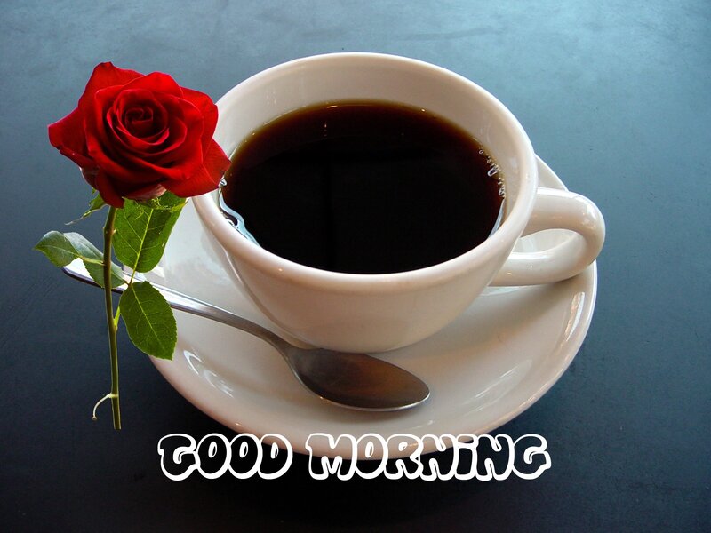 Coffee Cup with Rose — White, Calm, Morning