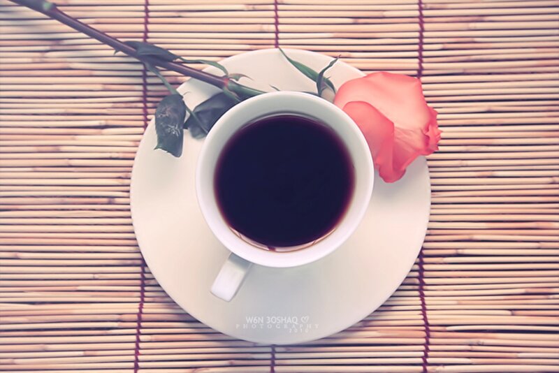 Coffee Cup with Rose — White, Serene, Morning