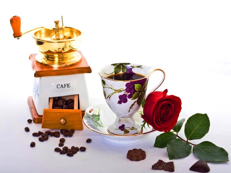 Coffee Cup with Rose — White, Serene, Photograph