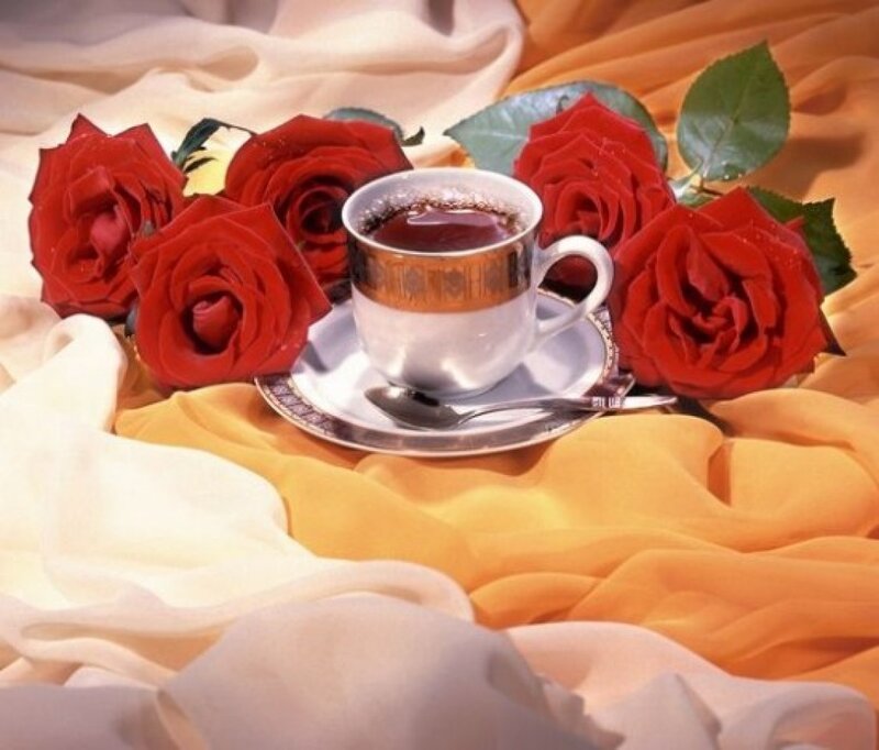 Coffee Cup with Roses — Red, Serene, Photograph