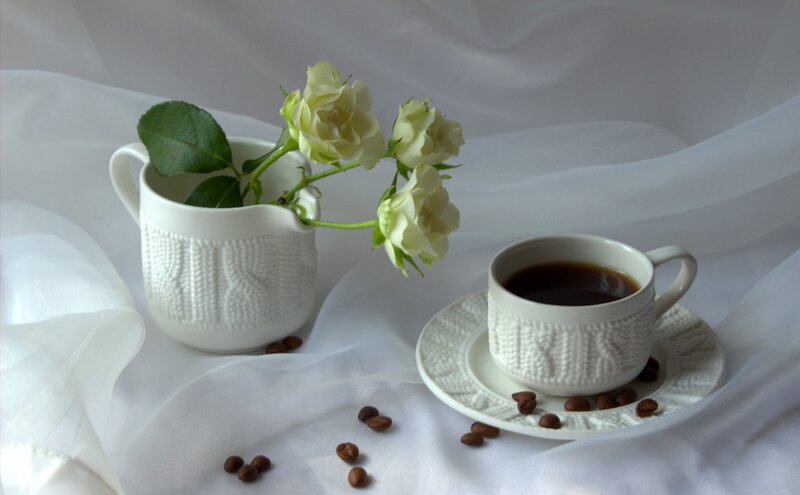 Coffee Cup with Roses — White, Serene, Morning, Photograph, Coffee Beans