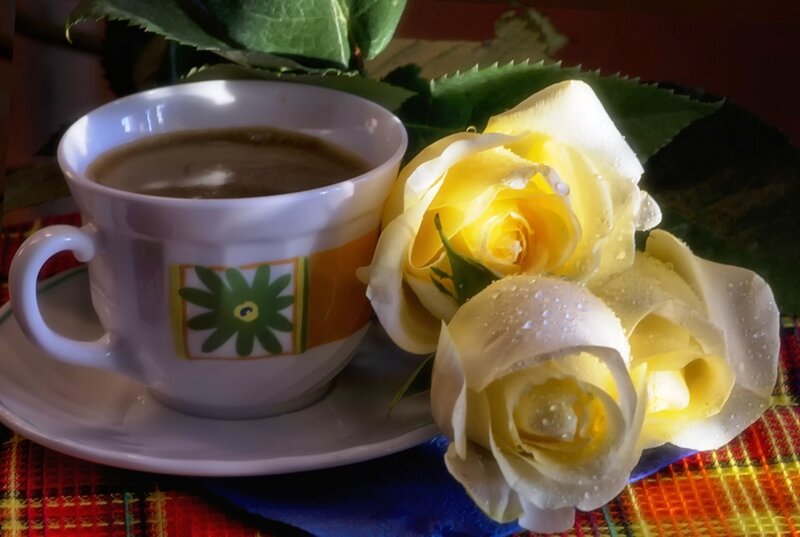Coffee Cup with Roses — White, Serene