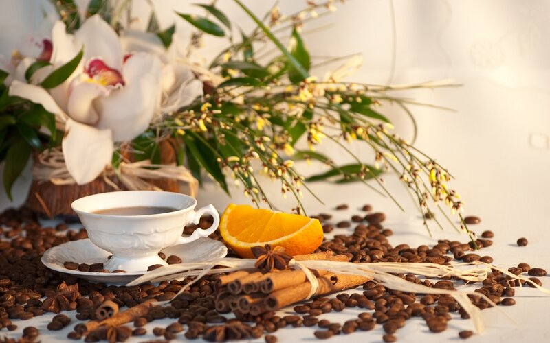 Coffee Cup with Spices — White, Serene