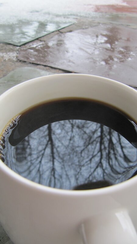 coffee cup with tree reflection