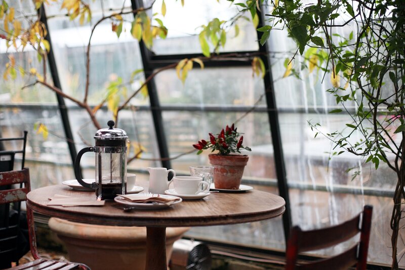 Coffee in a greenhouse setting