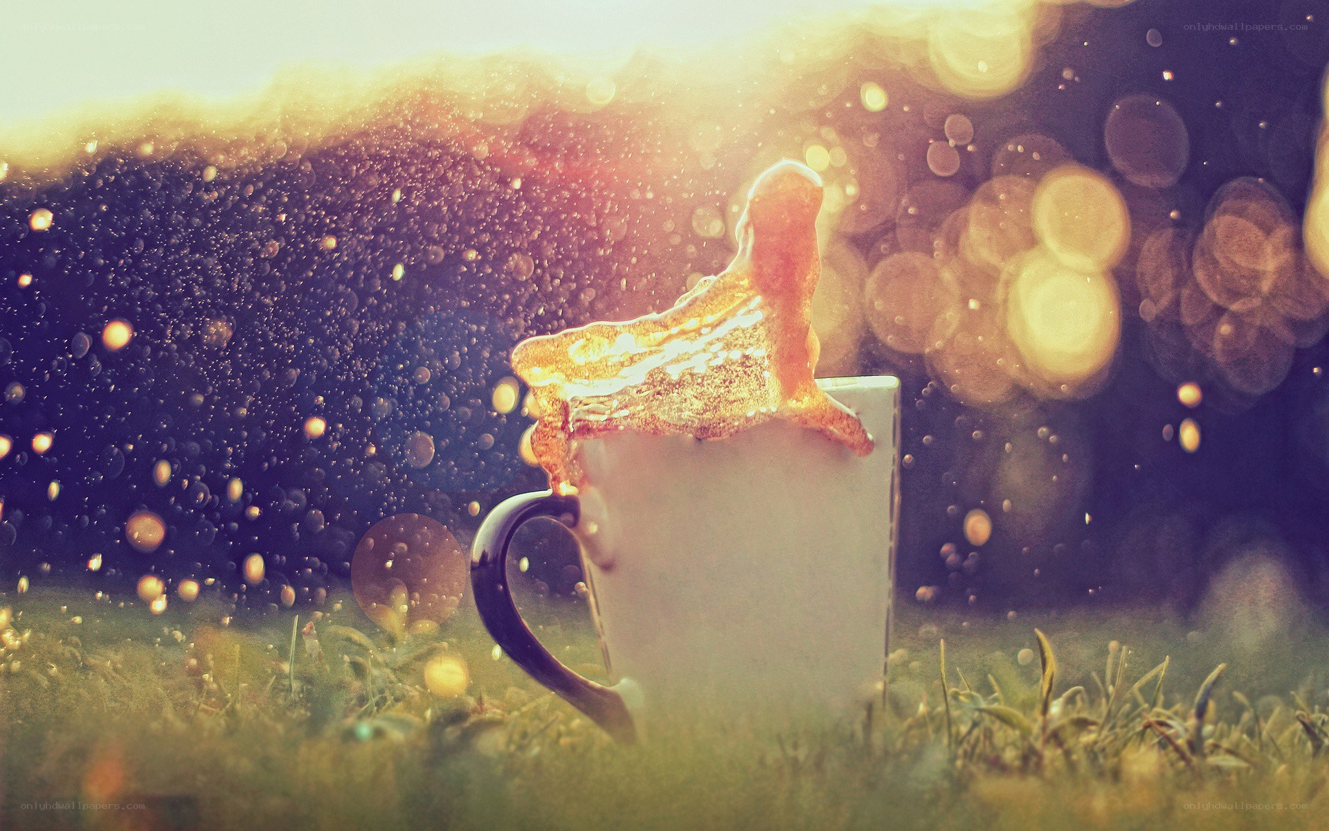 coffee mug in grass
