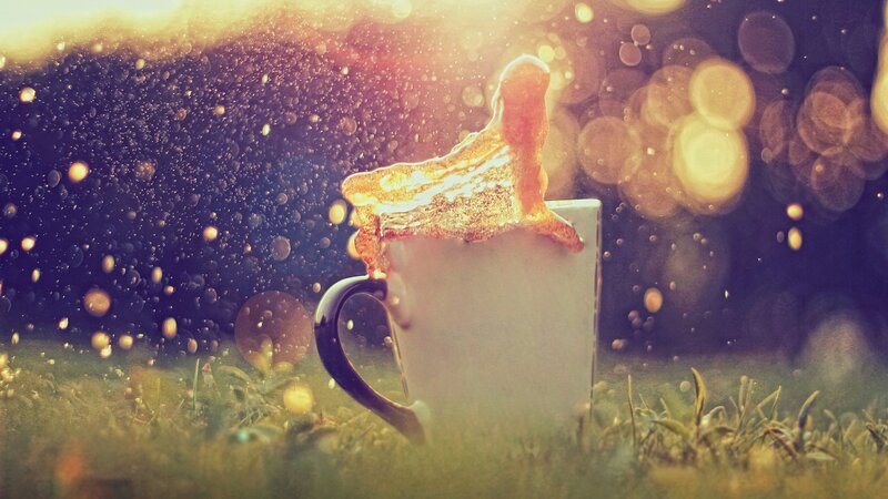 coffee mug in grass at sunrise