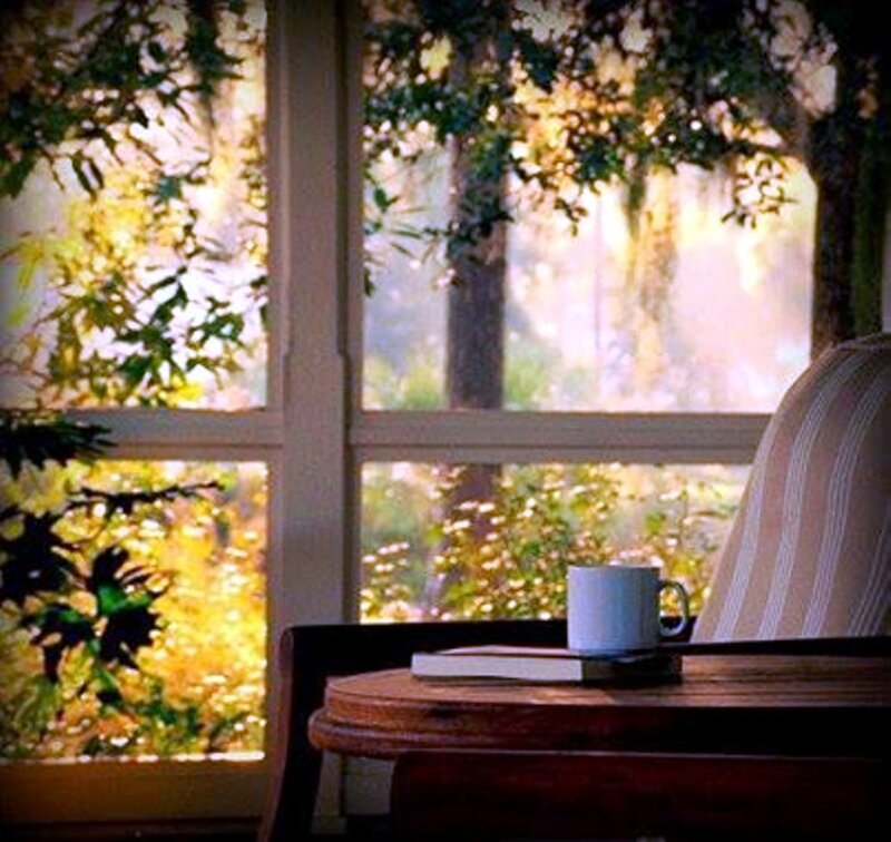 Coffee Mug on Table