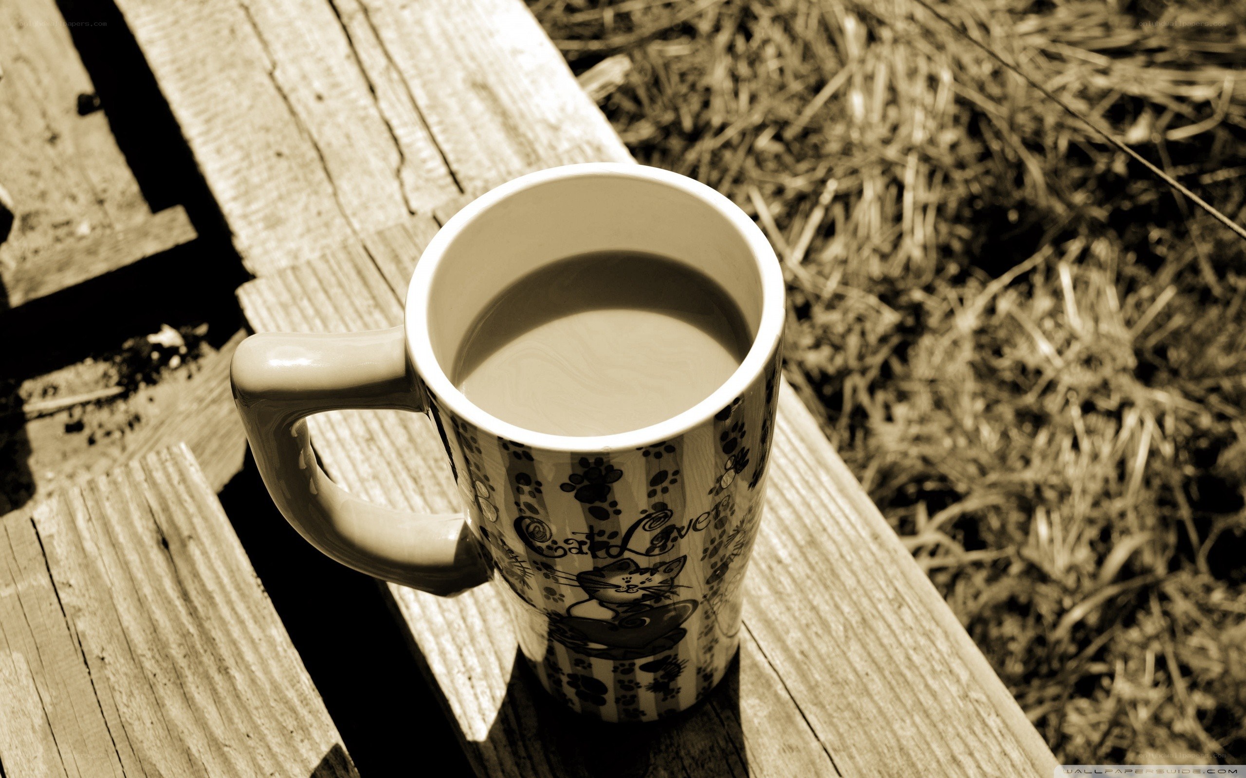 coffee mug on wooden bench