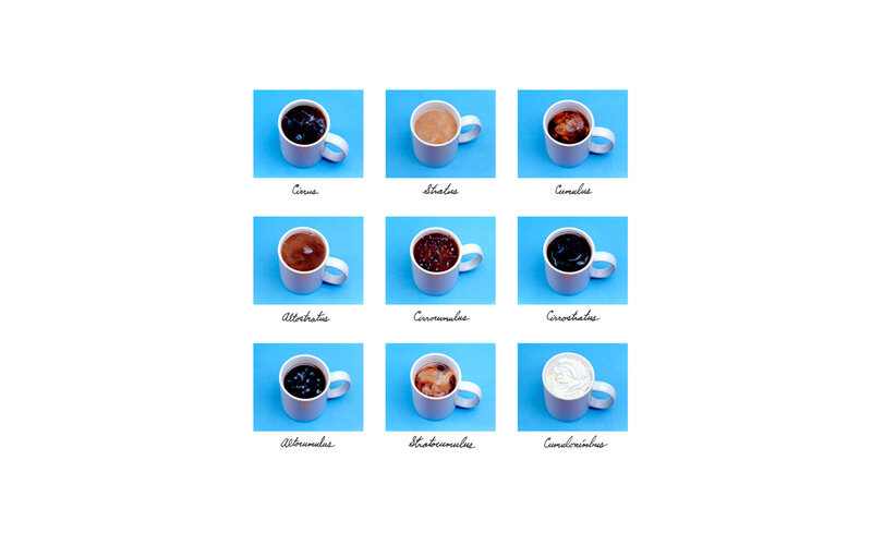 Coffee mug varieties