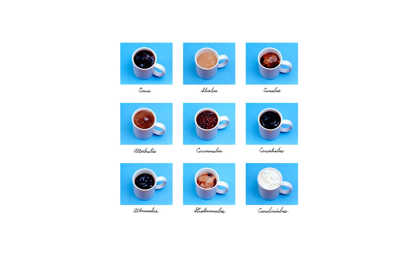 Coffee mug varieties