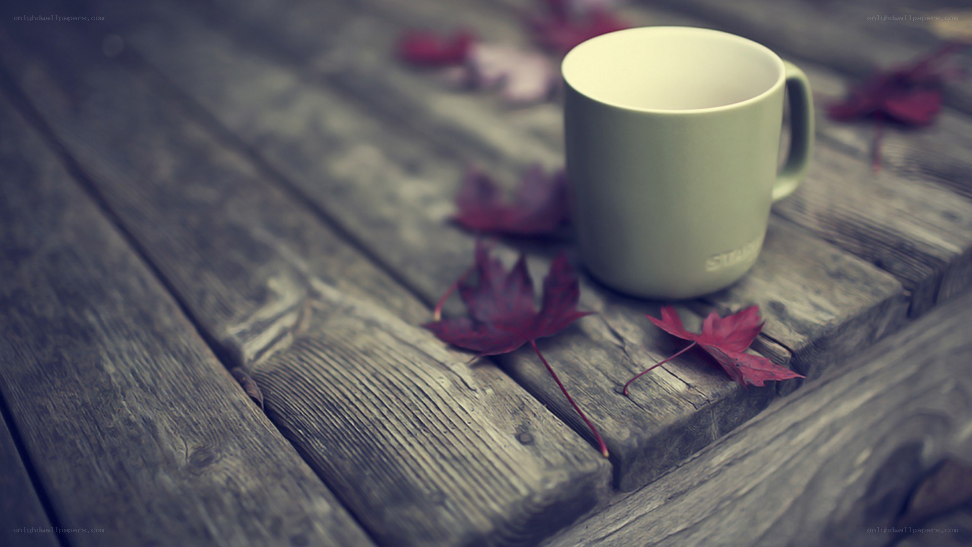 coffee mug with autumn leaves