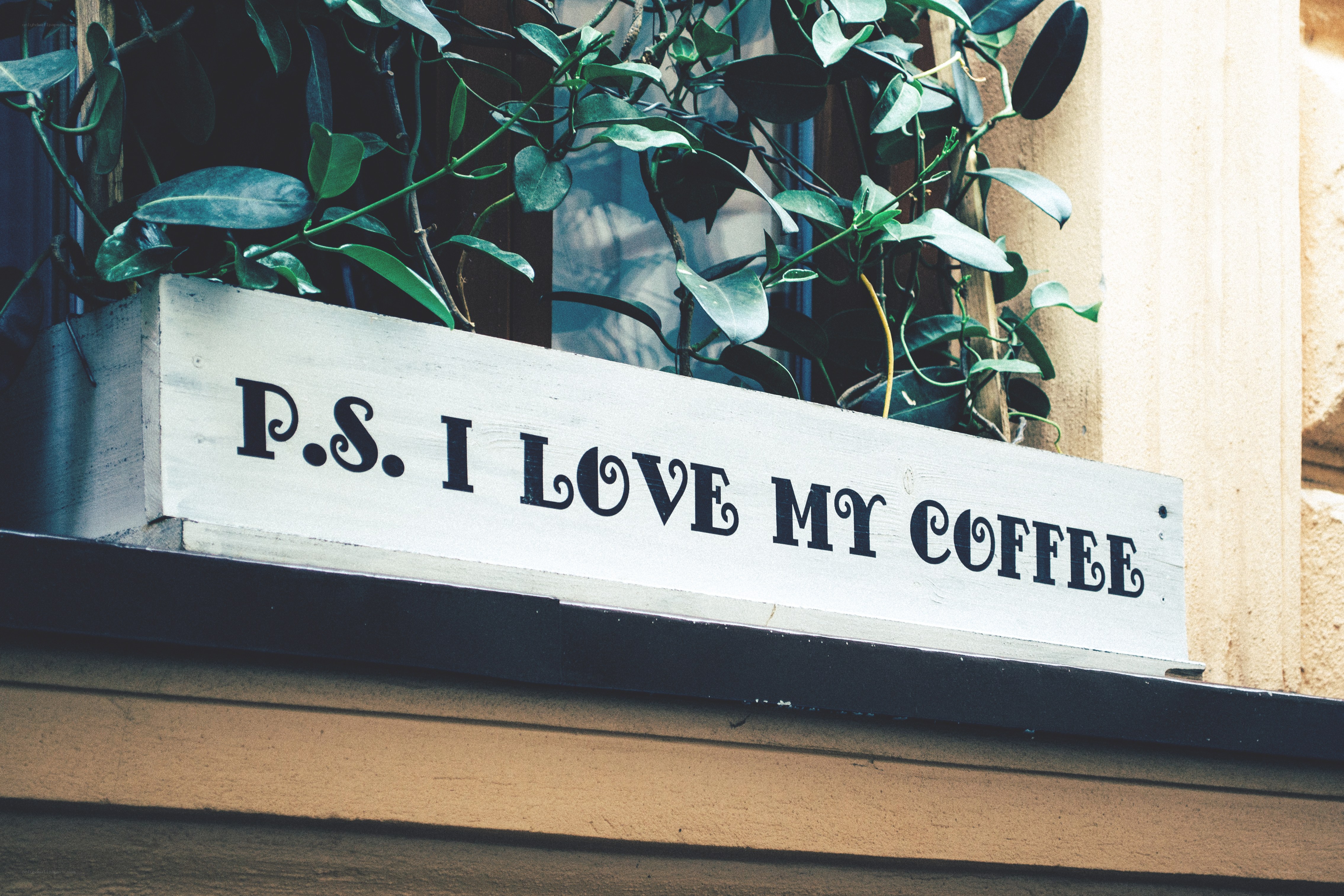 coffee sign with plants