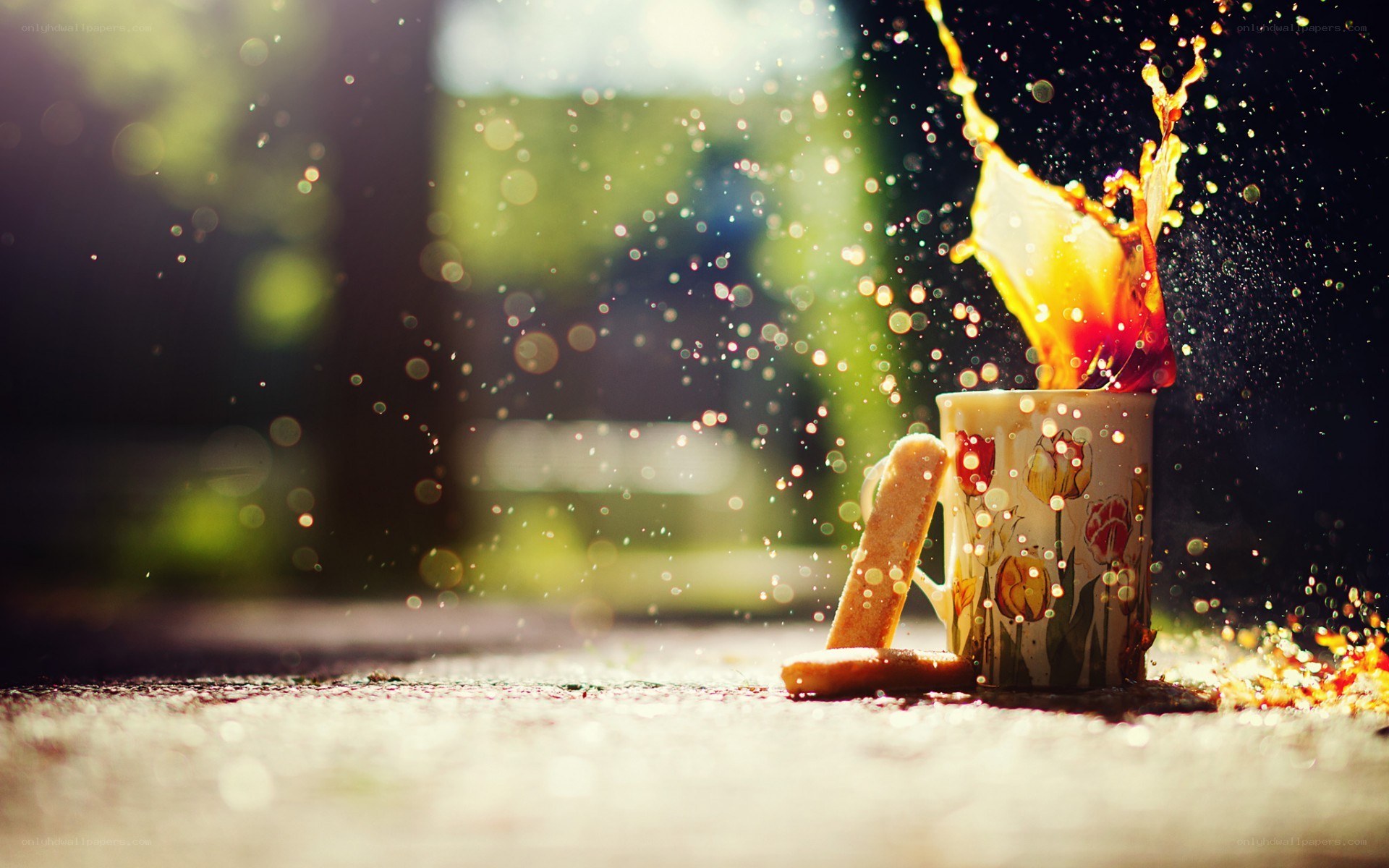 coffee splash in sunlight