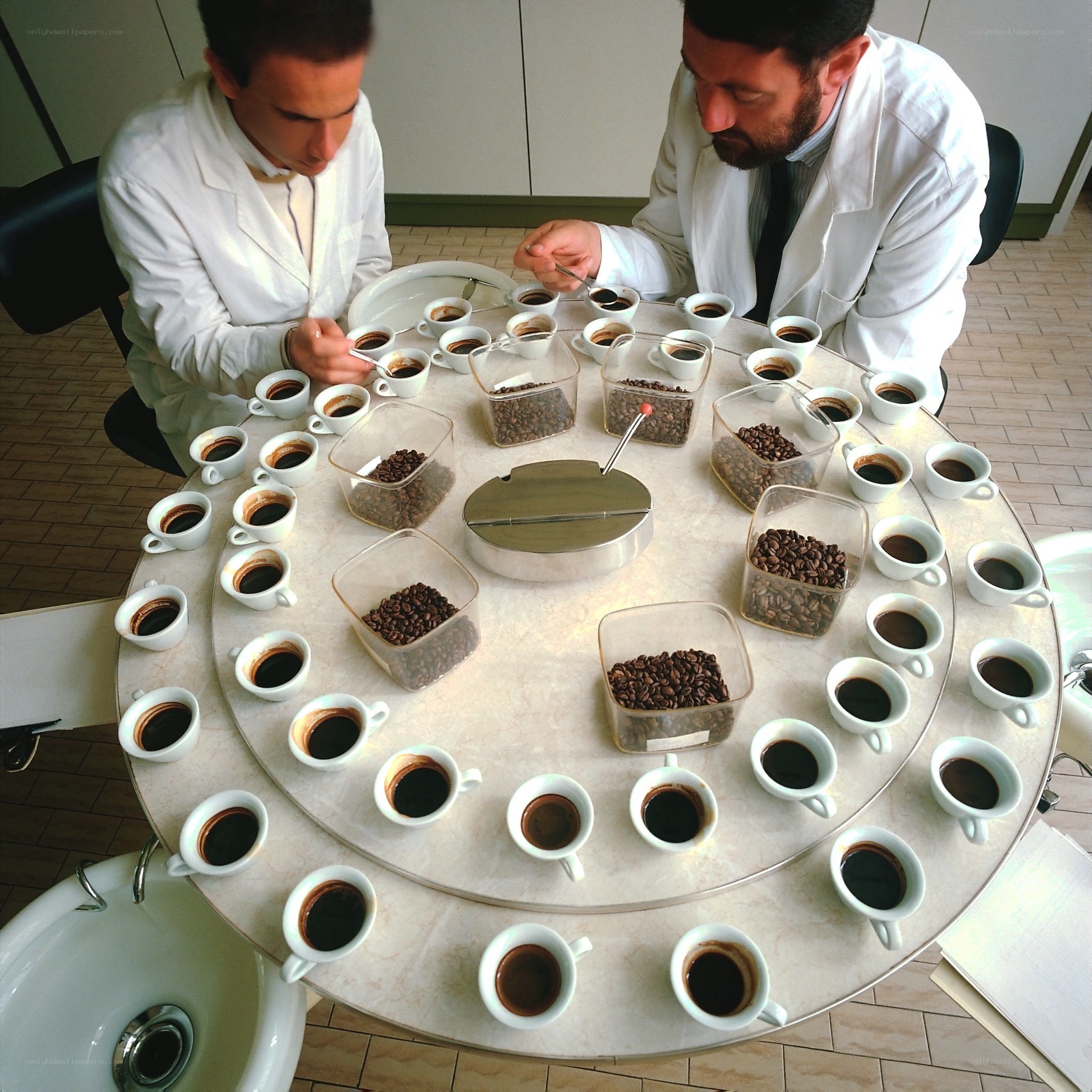 Coffee tasting with scientists