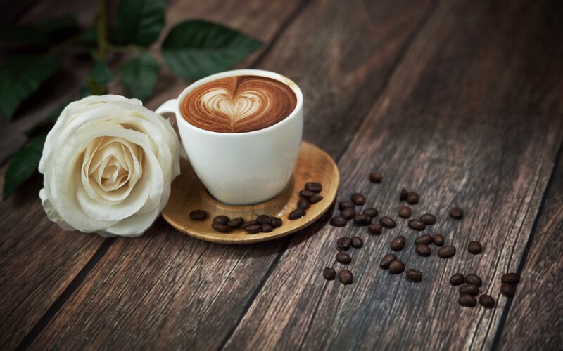 coffee with a white rose