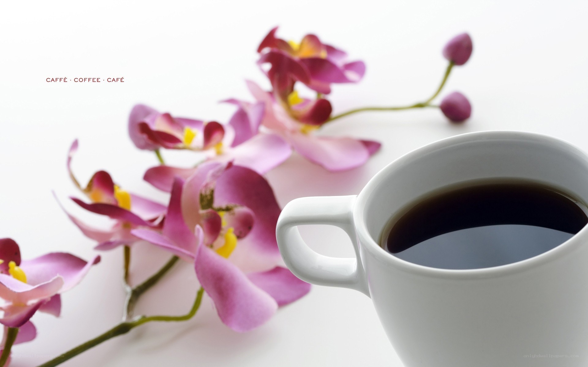 coffee with orchids