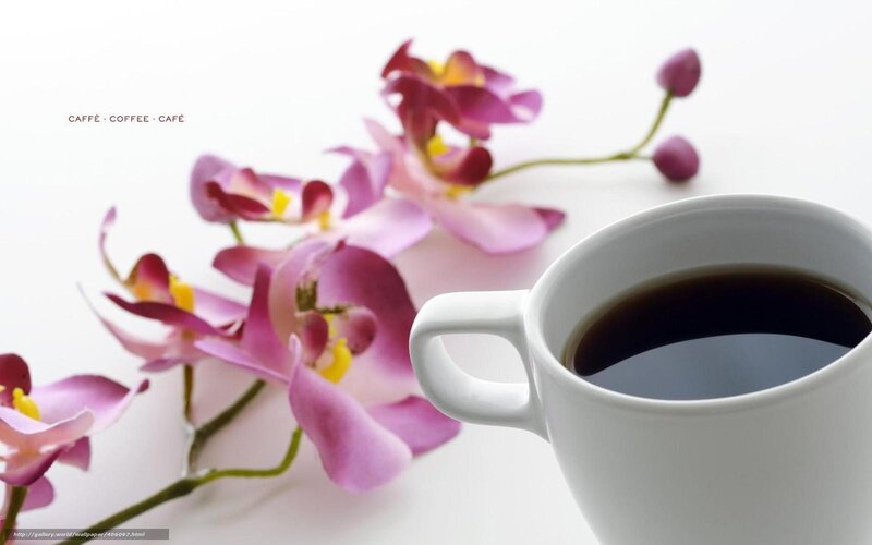 coffee with orchids