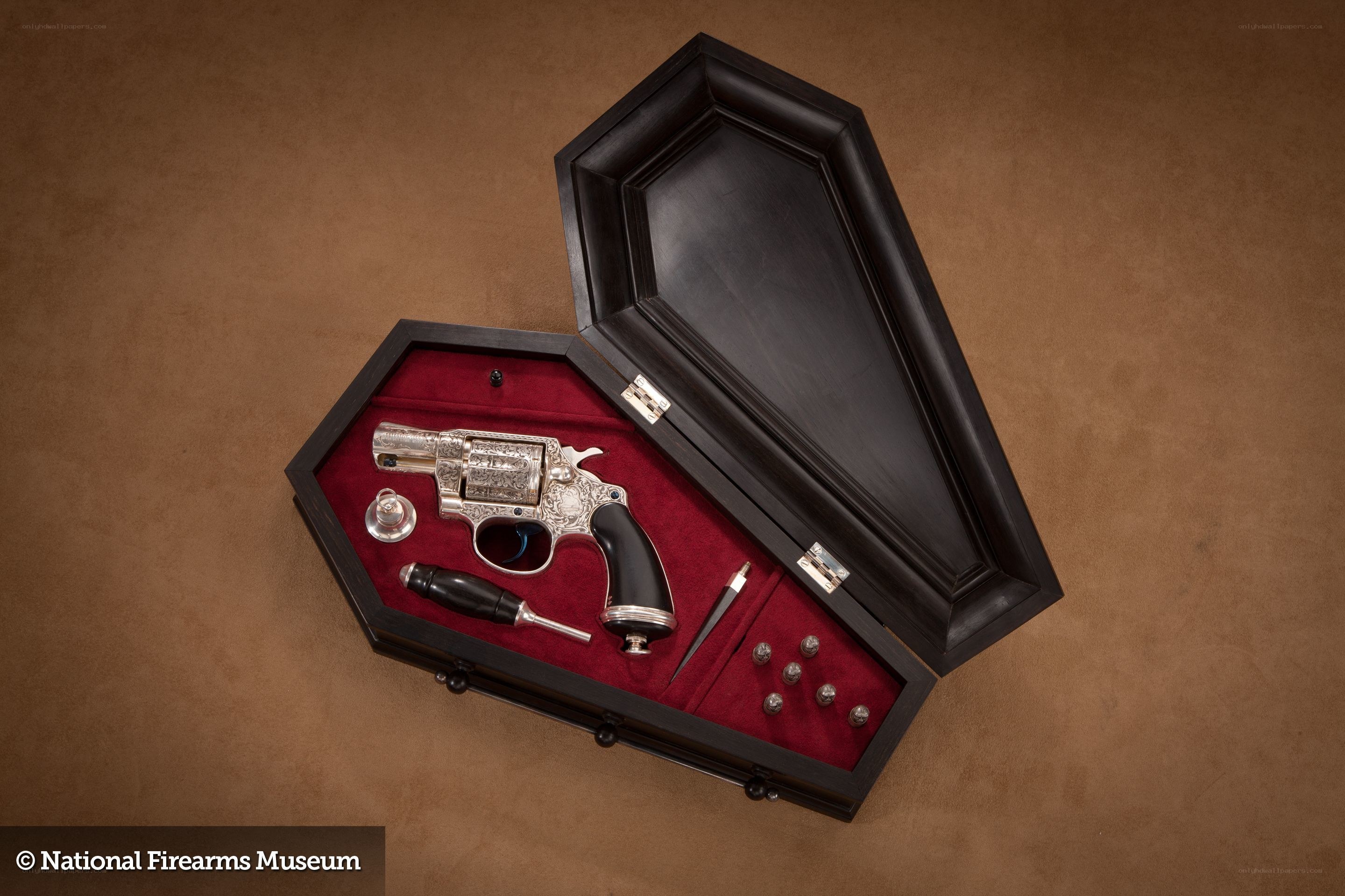 Coffin-shaped gun case