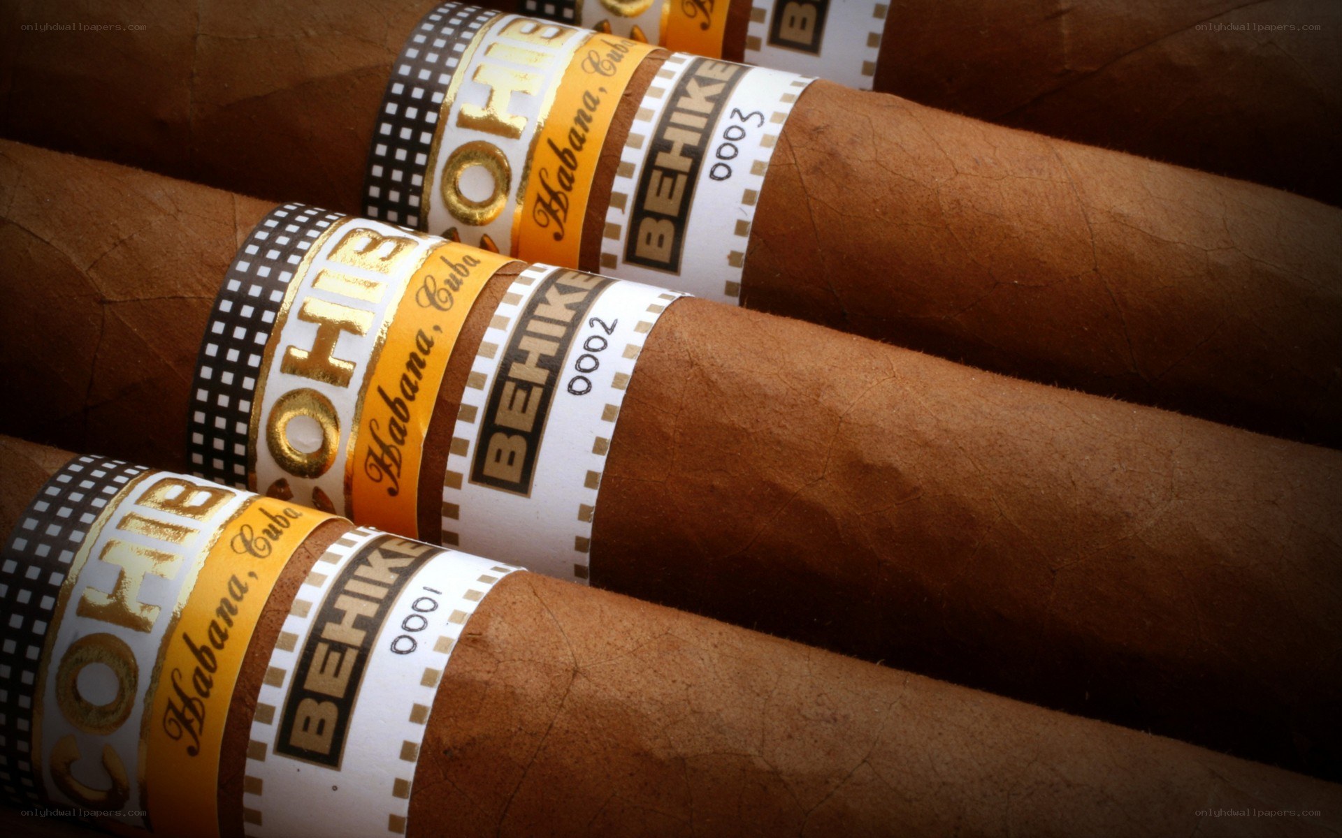 Cohiba cigars in a row