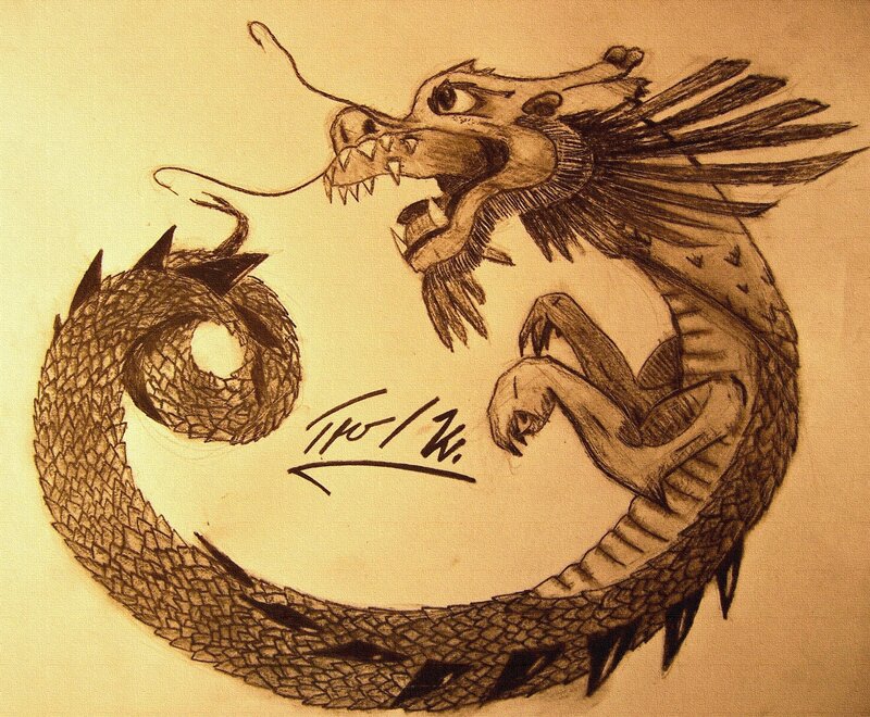 Coiled Dragon Drawing