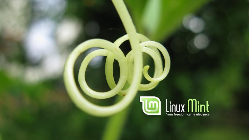 Coiled Green Vine
