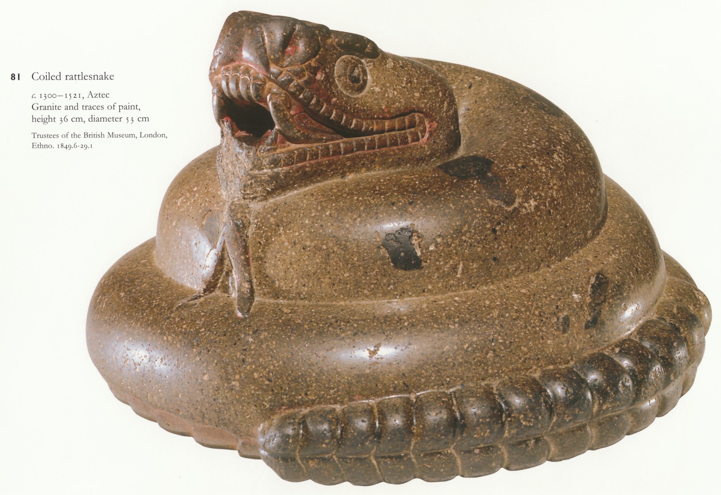 Coiled rattlesnake sculpture