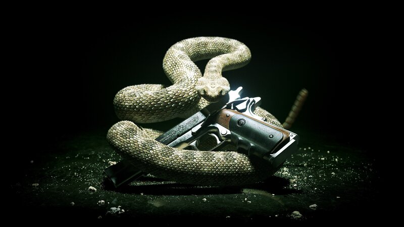 Coiled Rattlesnake with Gun — Black, Dramatic, Night, Photograph, Dark Surface