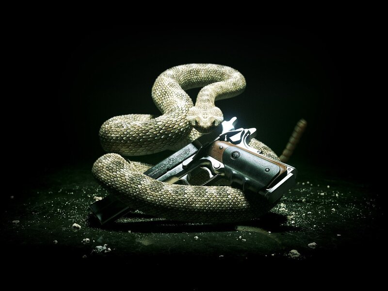 Coiled Rattlesnake with Gun — Black, Dramatic