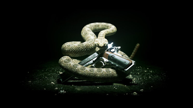 Coiled Rattlesnake with Gun — Black