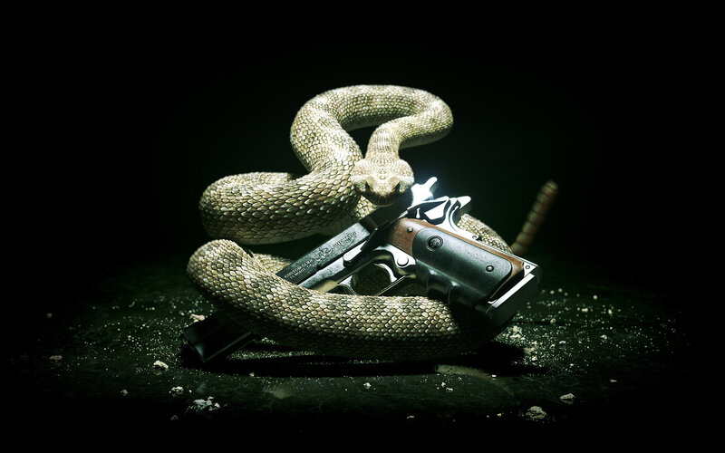 Coiled Rattlesnake with Gun