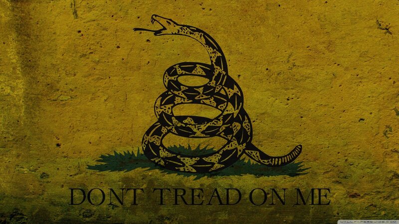 Coiled Rattlesnake — Yellow, Defiant, Illustration, Grass