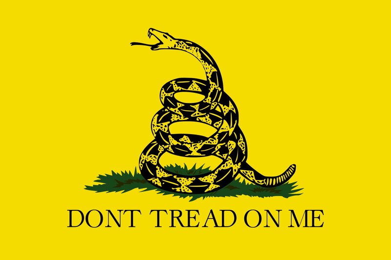 Coiled Rattlesnake — Yellow