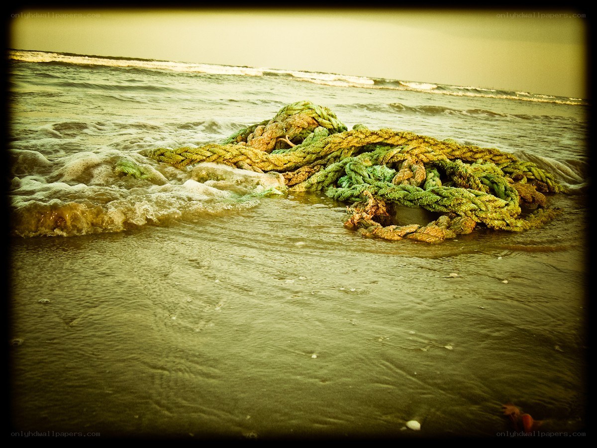 coiled rope on beach