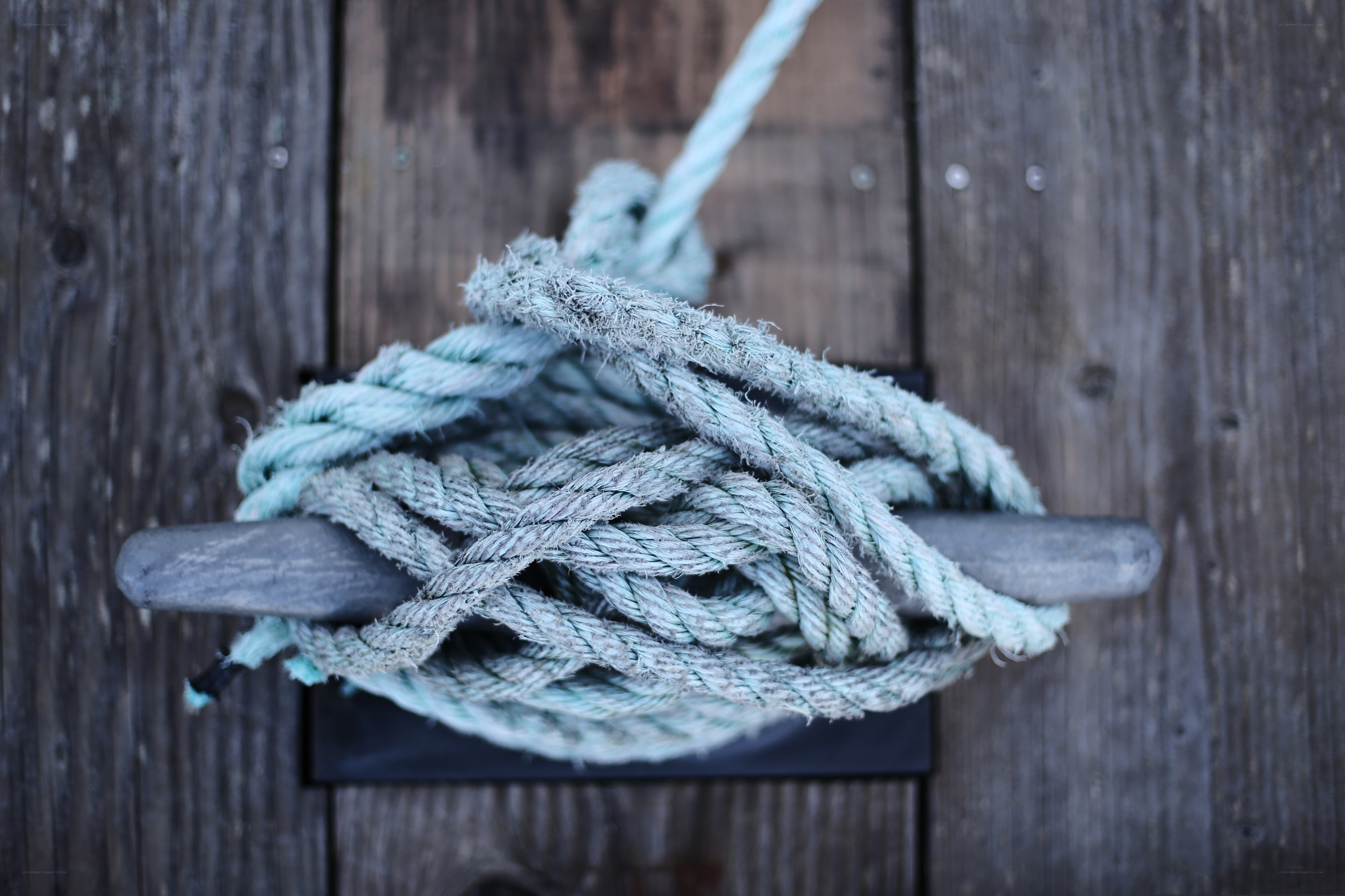 coiled rope on wooden dock