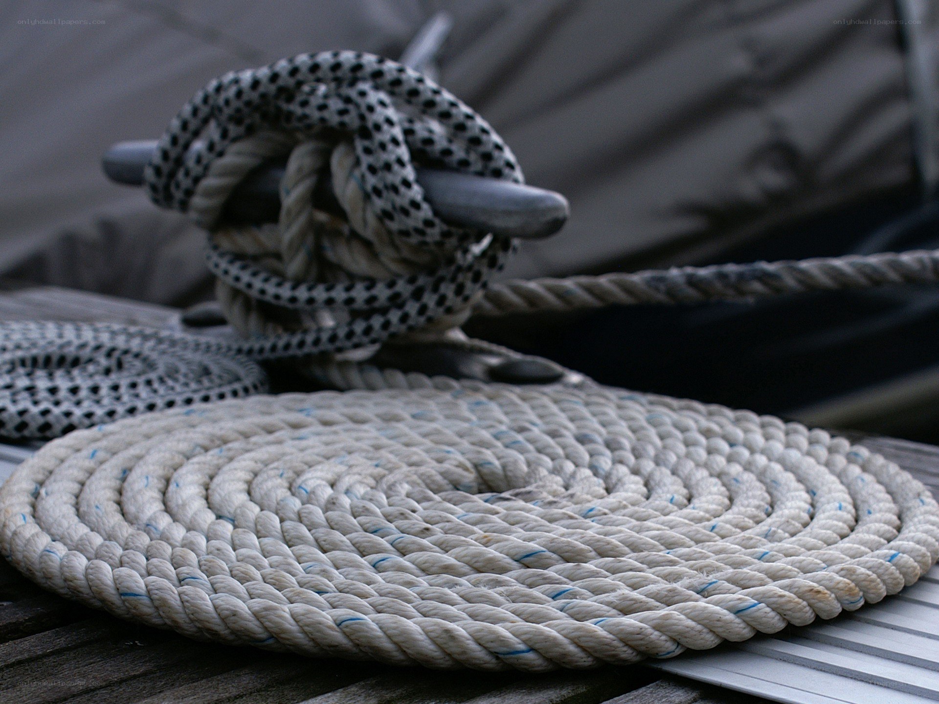 coiled ropes on a boat deck