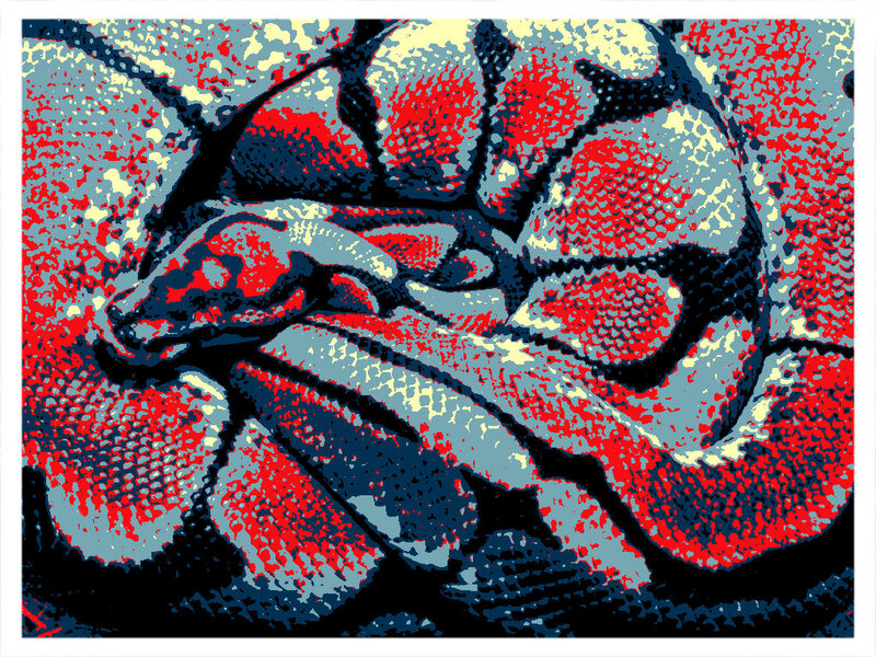 Coiled Snake — Red