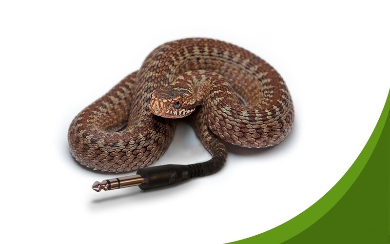 coiled snake with audio jack