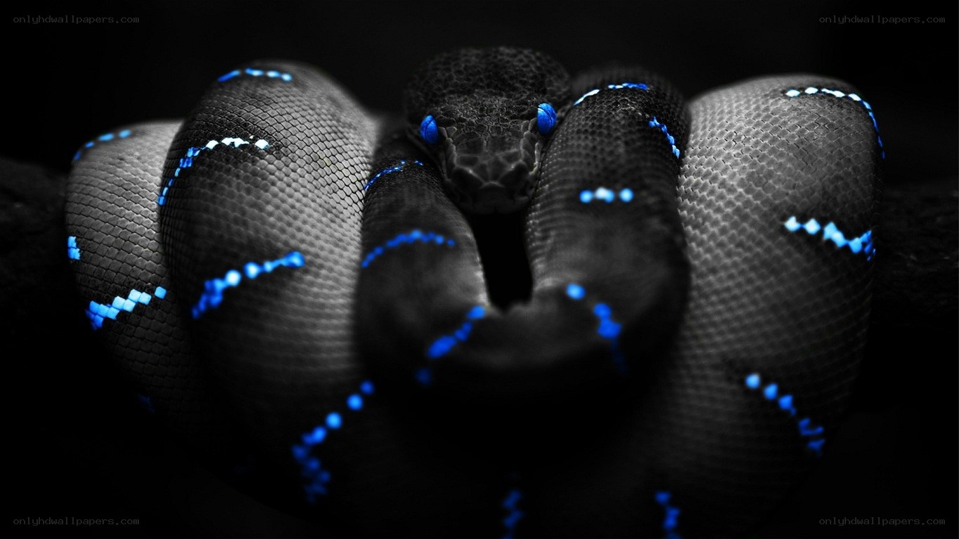 coiled snake with blue accents