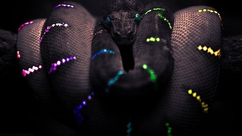 Coiled Snake with Glowing Patterns