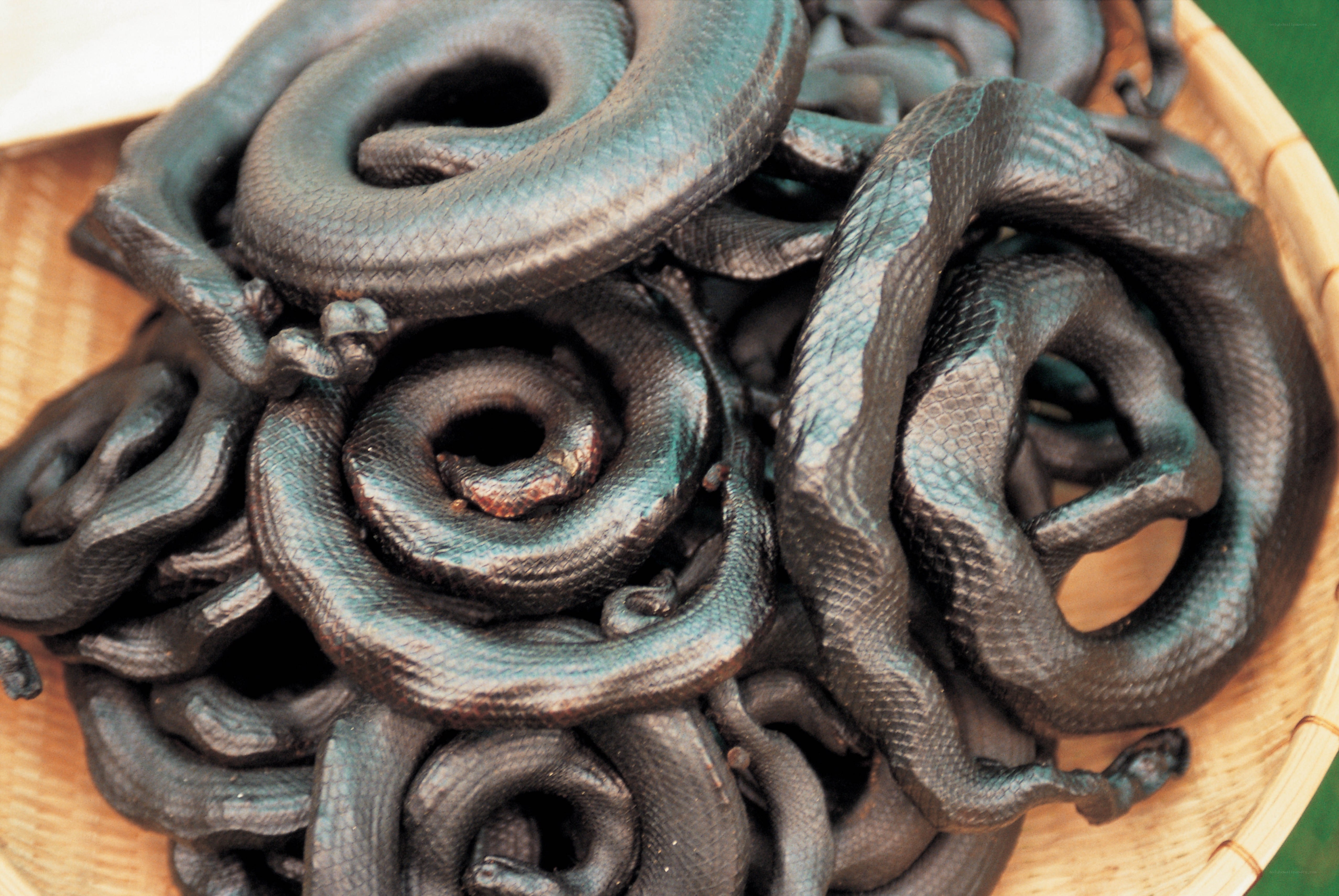 coiled snakes in a basket